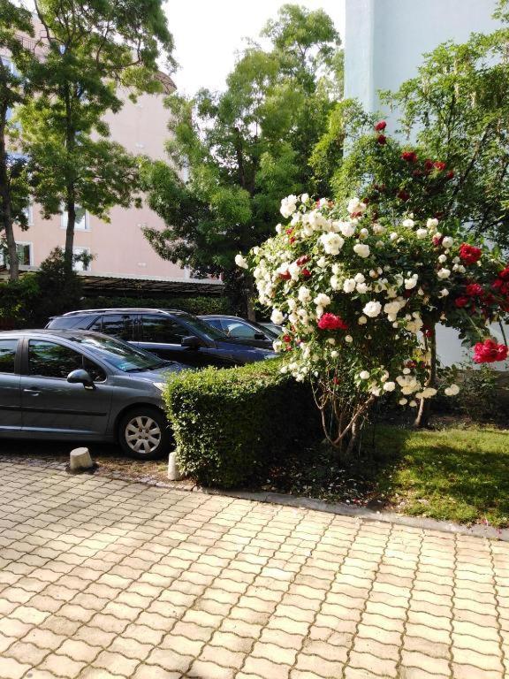 Guest apartment Dental Space Slantchev Briag Extérieur photo
